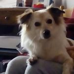 Dora Falcone - @dora.falcone.7 - Instagram