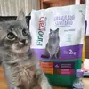 FARMER - @farmerimportadora - TikTok