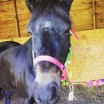 Finley Dorans - @finleydorans - Instagram