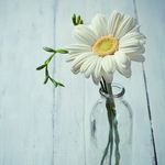 @dora_fish_801 - Instagram