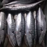 Dora Fish Market Ikan Laut - @dorafishmarketikan - Instagram