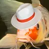 fedora fish - @fedora_fish - TikTok