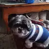 Dora Fleming - @dora.fleming1 - TikTok