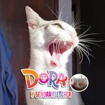 Dora Vila Fernández - @dora_et_fletcher - Instagram