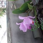 dora florez - @doraflorez24 - Instagram