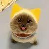 dora_ford - @dora_ford - TikTok