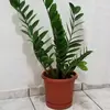 Dora Foster - @dorafoster - TikTok