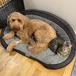 Georgie n’ Dora Foster - @gndfoster - Instagram