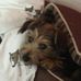 Dora Frey - Facebook