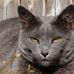 Dora Frey - Facebook