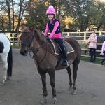 Freya - @freya.dora_eq - Instagram