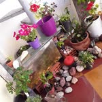 Dora Galván - @dora.galvan.98837 - Instagram