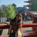 Dóra Gellért - Facebook