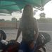 Dora Gomes - Facebook