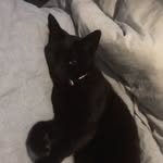 Dora Hamilton - @doradozza - Instagram