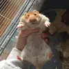 💗🄳🄾🅁🄰💗 - @dora.thehammmy - TikTok