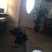 Dora Hammons - Facebook