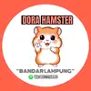 Dora Hamster - @dora.hammy - TikTok