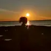 Dora - @www.dora.ben.hamm - TikTok
