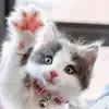 Dora Hammond - @dora.hammond2 - TikTok