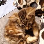 Lee Dora Hampton - @leedorahampton - Instagram