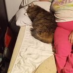 Dora Hardin  - Facebook
