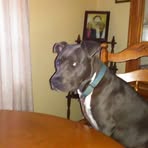 Dora Hargrove - Facebook