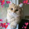 Dora Harry - @30913639481 - TikTok
