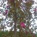 Dora Hart - Facebook