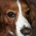 brian dora harvey thor - @brian_dora_harvey_thor - Instagram