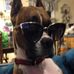 Dora Hays - Facebook