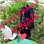 Tarruu Hayiluu - Facebook