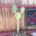 Dora Helms - Facebook