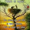 Dora Henriquez - @dorahenriquez4 - TikTok