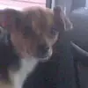 Dora Henry - @dora.henry5 - TikTok