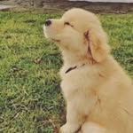 dora henryk - @dorahenryk - Instagram