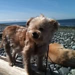 Dora Hensley - @doralynn59 - Instagram