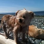 Dora Hensley - Facebook