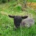 Dora Henson - Facebook