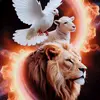 Adoracion - @dora.heredia16 - TikTok