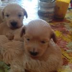 Dora Heredia - @dora.heredia.5458 - Instagram