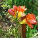 Dora Hergenreder - Facebook