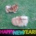 Dora Herring - Facebook