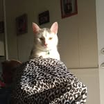 Dora Higgins - @dora.higgins.351 - Instagram