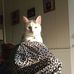 Dora Higgins - Facebook