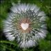 Dora Charlene Hinton - Facebook