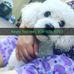 Dora Hoffman - Facebook