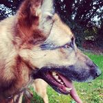 Dora - @doraholden_52 - Instagram
