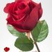 Dora Holguin - Facebook