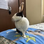 Dora - @dora_the_hopper - Instagram